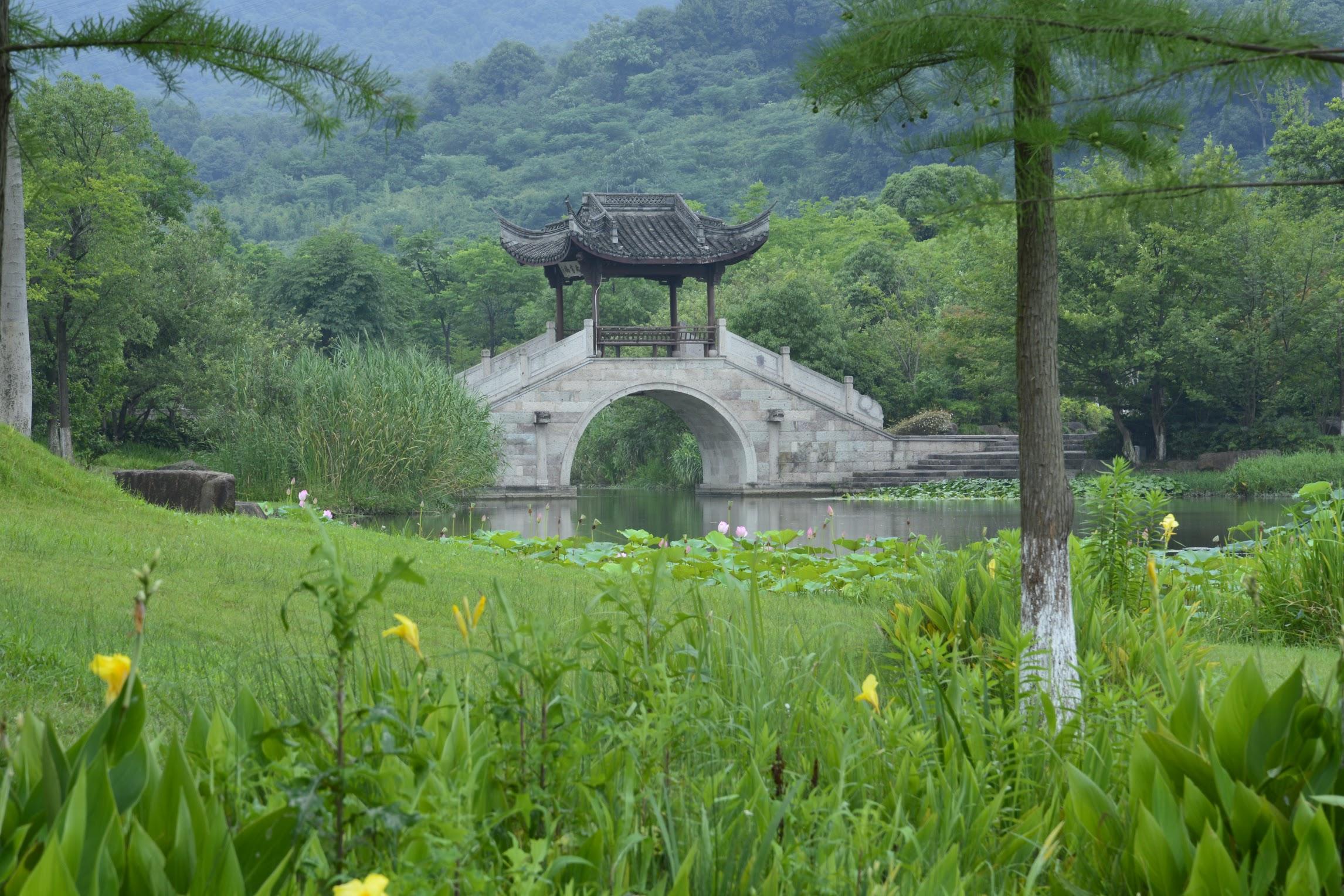 Cover Image for 陌上花开