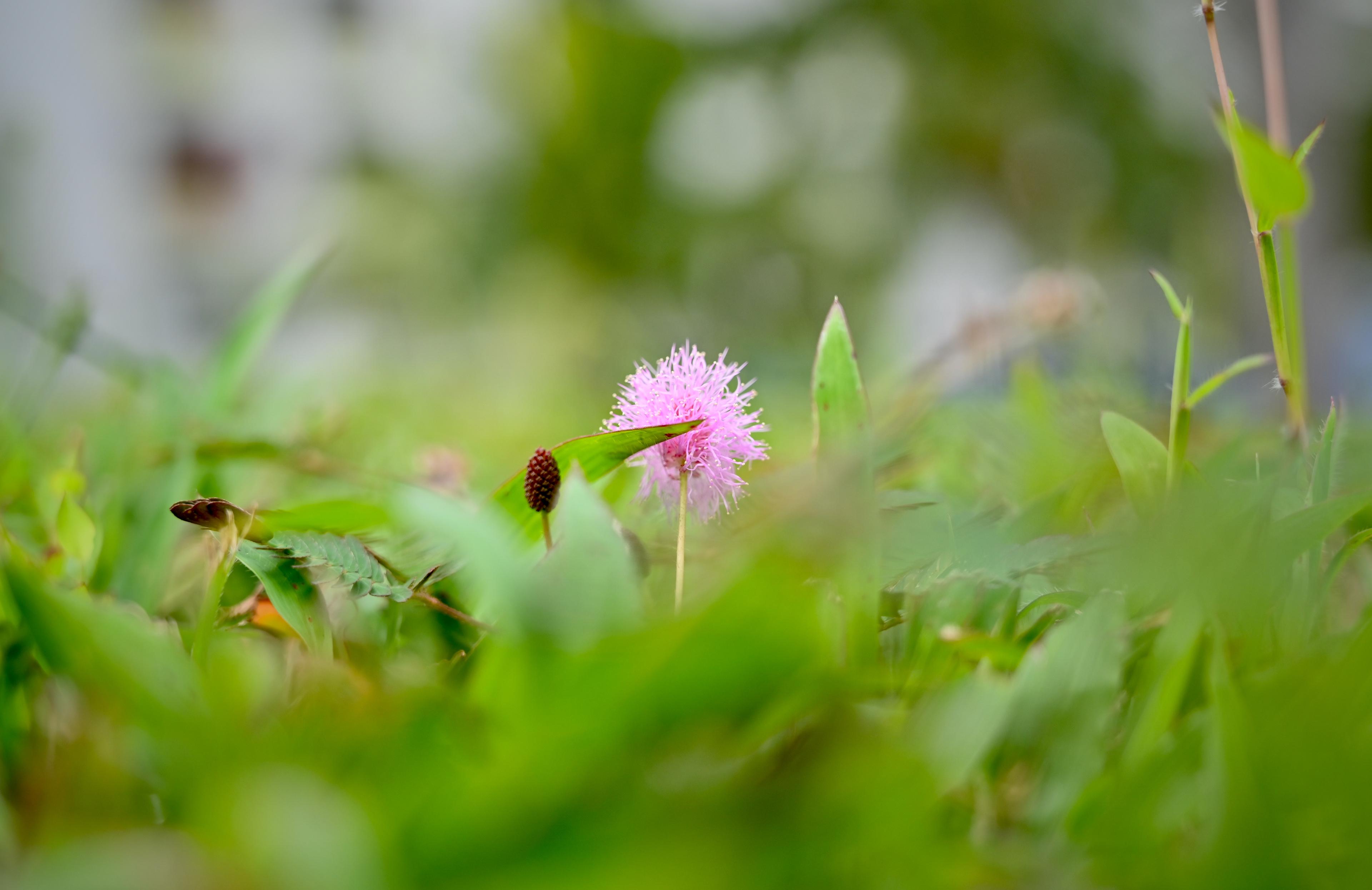 Cover Image for 修身齐家